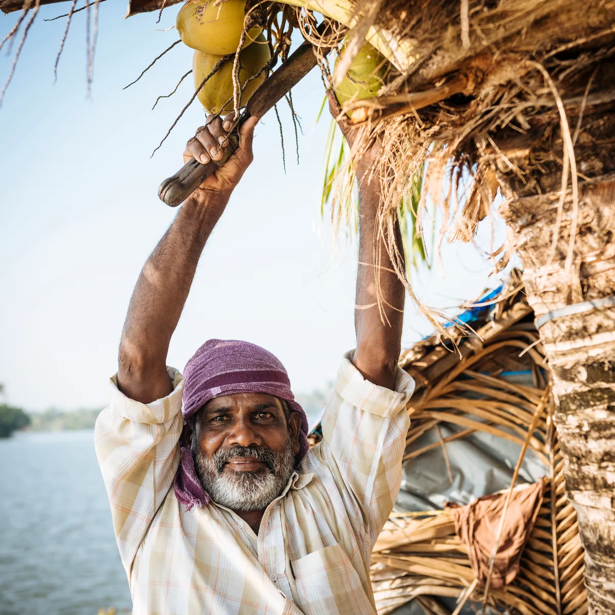 Kerala Coconut Farmer